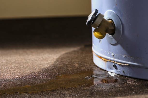 Best Water damage restoration company  in Springville, NY