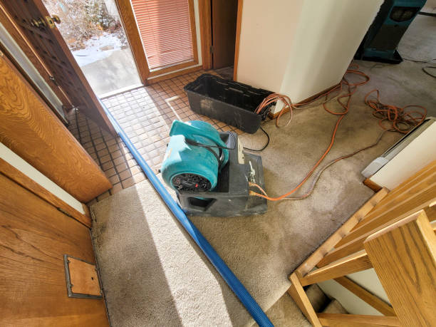 Best Flood damage cleanup  in Springville, NY
