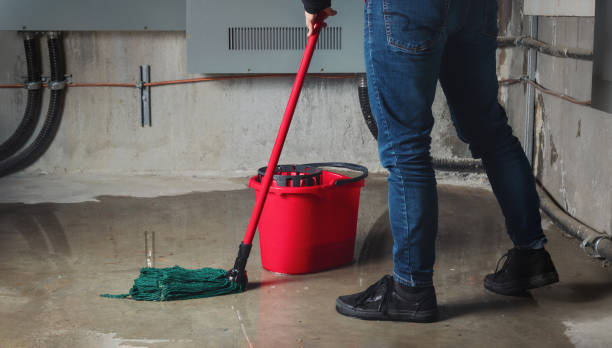 Best 24-hour water damage restoration  in Springville, NY