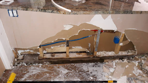 Best Flood restoration services  in Springville, NY