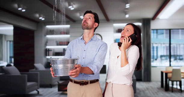 Best Local water damage restoration  in Springville, NY